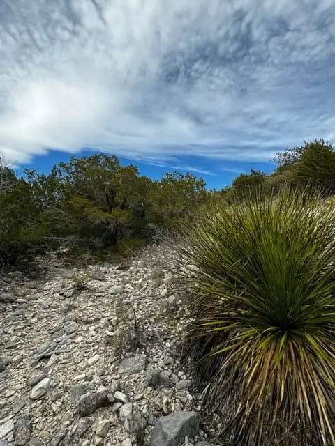 Loma Alta Ranch (17)