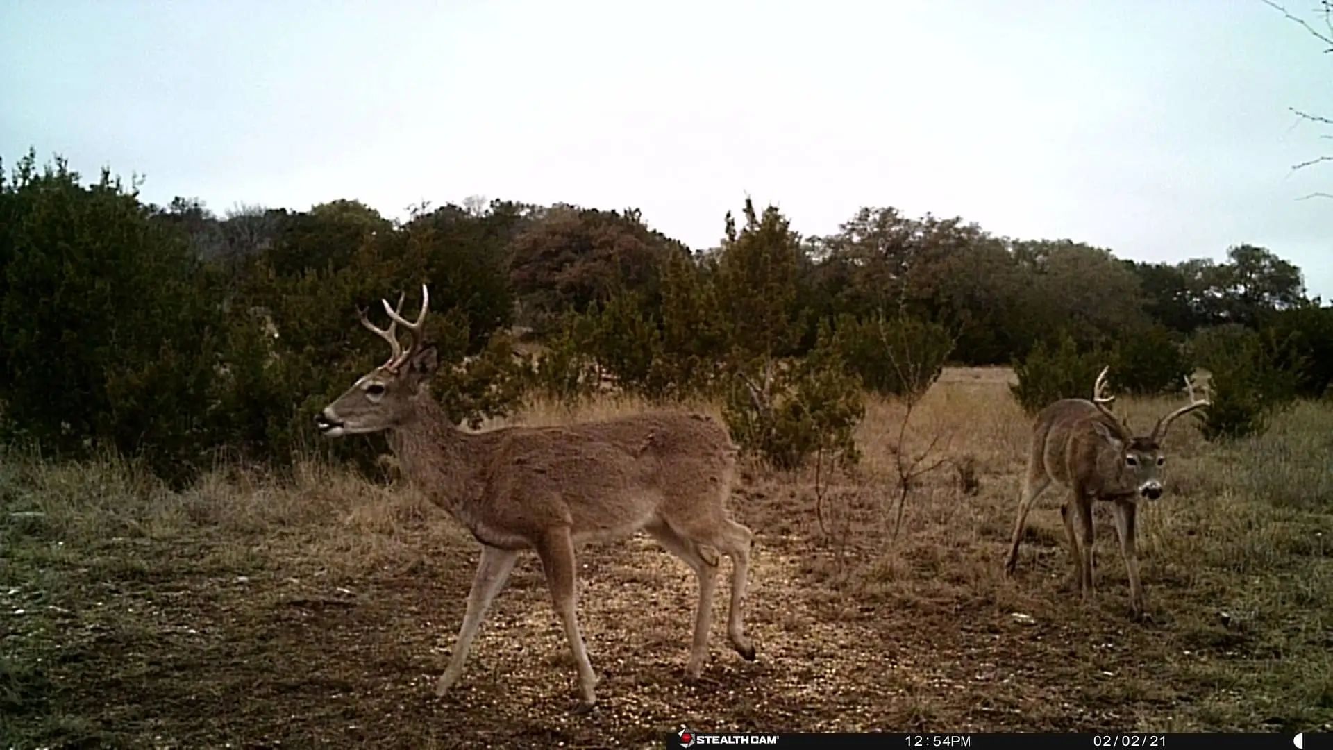 Rockin H Ranch (6)