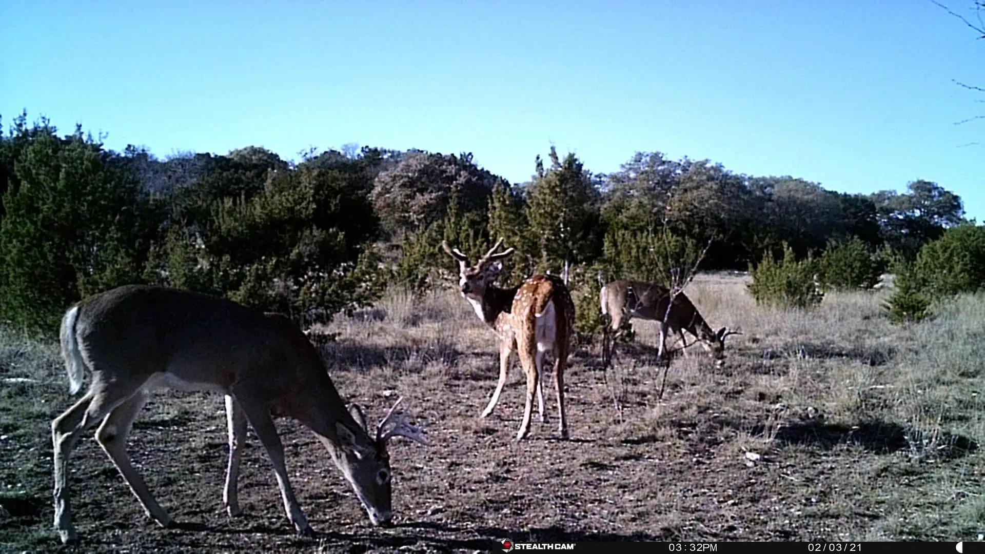 Rockin H Ranch (73)