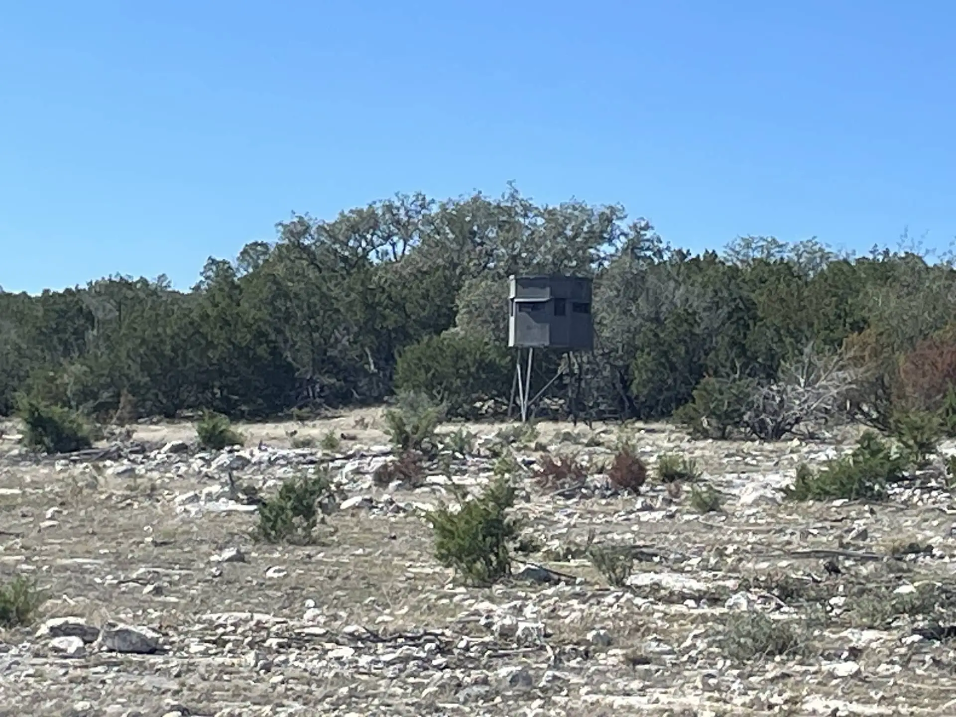 West Nueces Ranch (35)